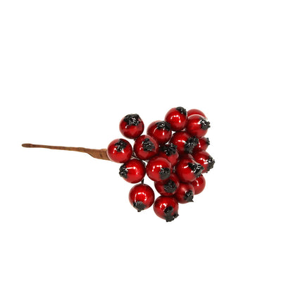 Red Holly Berry Bunch image 0