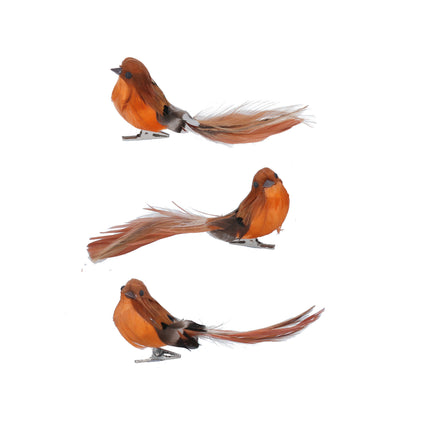 Gisela Graham Feather Robin Clip