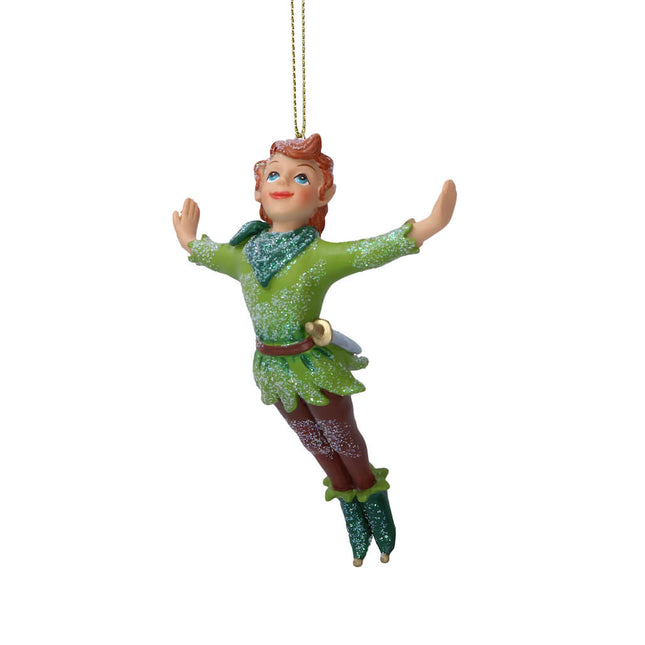 Peter Pan - Fairytale Character image 0