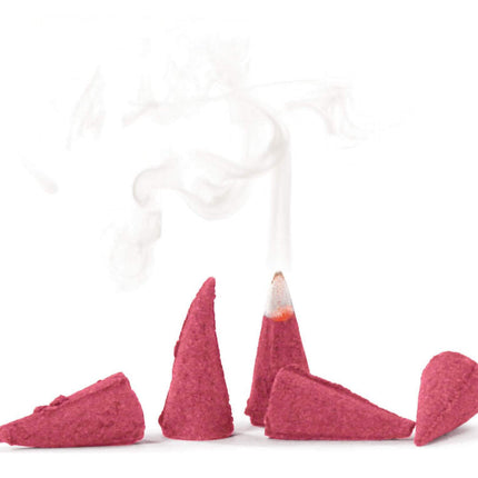 Knox Incense Cones (24) - SANDLEWOOD image 1