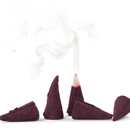 Knox Incense Cones (24) - WINTER SPICE (Christmas Scent) image 1