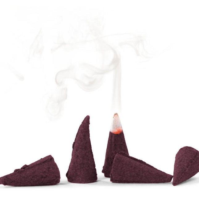 Knox Incense Cones (24) - WINTER SPICE (Christmas Scent) image 1