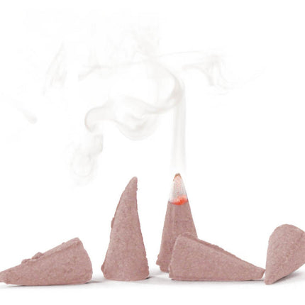 Knox Incense Cones (24) - CINNAMON image 1