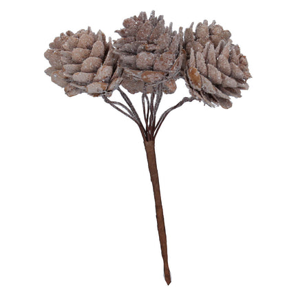 Frosted Natural Acrylic Cone Bunch image 0