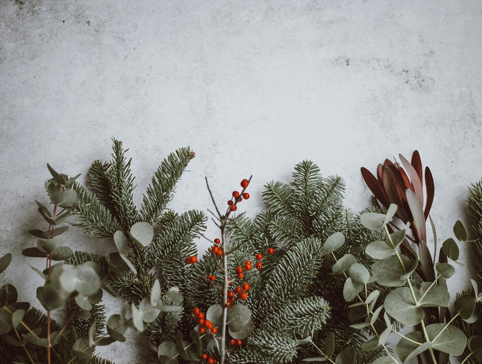 <h4>A little bit about us...</h4><h2><strong>The UK’s first and oldest Christmas Shop</strong></h2>