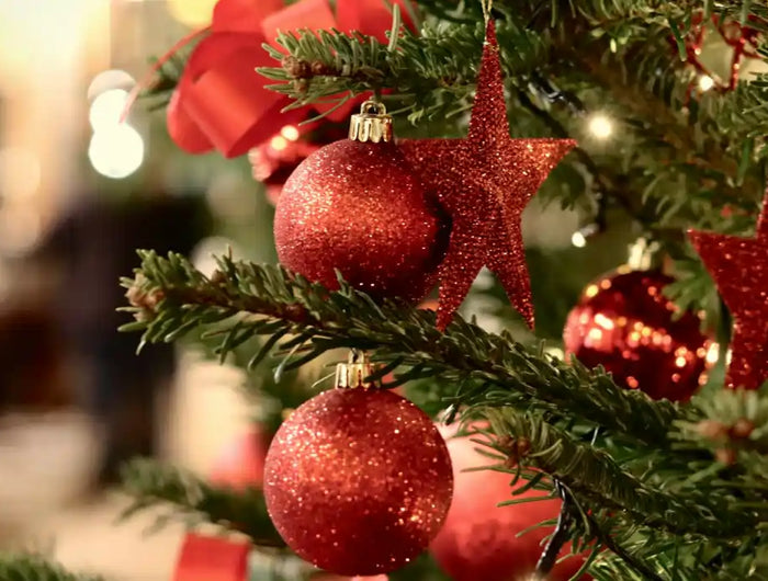 <h4><strong>Our story</strong></h4><h1><strong>Designed for Adventure</strong></h1>