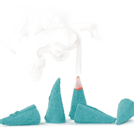 Knox Incense Cones (24) - LAVENDER image 1