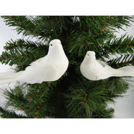 2 White Turtle Doves image 1