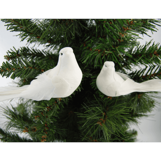 2 White Turtle Doves image 1
