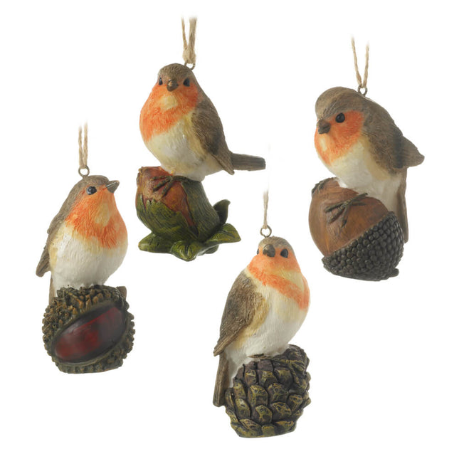 ROBINS SITTING ON NUTS SET ASSORTED DESIGNS image 0